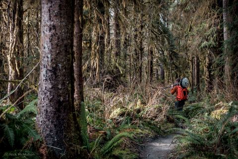 Immersive Field Recording: Matthew Mikkelsen’s Journey with the Schoeps ORTF-3D